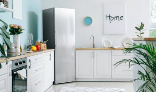 冰箱用英语怎么说（冰箱里的鱼肉可以保持新鲜用英语怎么说）