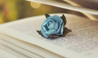 关于祖国大好河山的诗句 关于祖国大好河山的诗句五言绝句