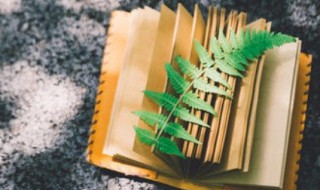 关于拼搏的诗句 关于拼搏的诗句和名言警句