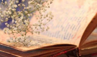 关于自强的诗句 关于自强的诗句和名句