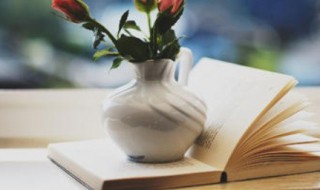 关于回家的诗句（关于回家的诗句和歌词）