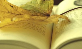 关于青春励志的诗句(关于青春励志的诗句现代诗)