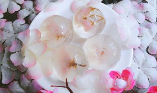 樱花水信玄饼做法（糖渍樱花怎么做水信玄饼）