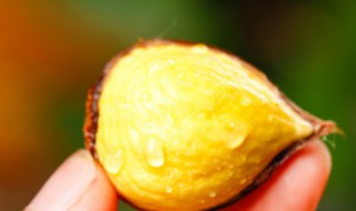 板栗鸡腿丁怎么做（板栗鸡腿丁怎么做才好吃）