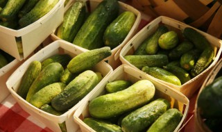 黄瓜有营养价值吗 黄瓜有什么营养价值吗