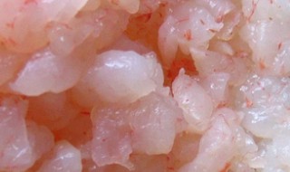 虾仁饺子馅的配料及做法（韭菜虾仁饺子馅的配料及做法）