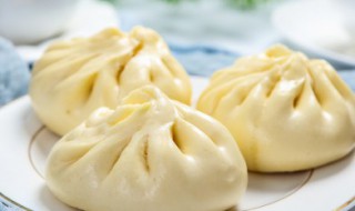 肉馅包子怎么调馅（香菇肉馅包子怎么调馅）