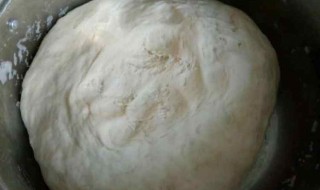 发面做包子怎么做 发面做包子怎么做视频