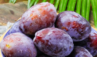 西梅可以盆栽吗 西梅树可以盆栽吗