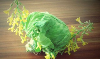 卷心菜会开花吗 卷心菜会开花吗?