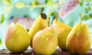 梨的贮藏技巧 梨的贮藏与保鲜方法