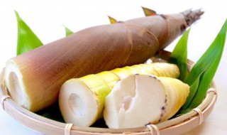 冬笋要如何贮藏保存? 冬笋要如何贮藏保存时间