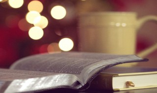 鼓鼓囊囊的意思（鼓鼓囊囊的意思和拼音）