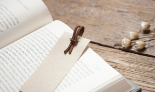 鞍不离马甲不离身的意思解释（鞍不离马背甲不离身的意思）