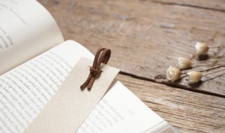 白云亲舍是什么意思 白云青舍的意思