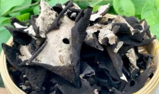 黑菌的营养价值 黑菌的营养价值及功效