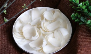 百合的营养价值及功效与作用 百合的营养价值及功效与作用禁忌