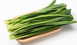 韭菜分蘖是什么意思(韭菜分蘖是什么意思呀)