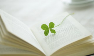 姑妄听之的意思 姑妄说之姑妄听之什么意思