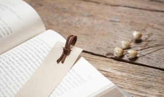 得兔忘蹄是什么意思（蹄者所以在兔 得兔而忘蹄）