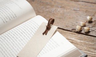 博闻强志是什么意思 博闻强志中文的意思