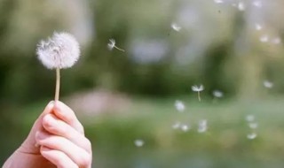 一切看淡顺其自然的说说(看淡顺其自然的句子)