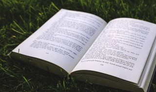 智慧才气的女孩名字 智慧才气的女孩名字性刘,三个字