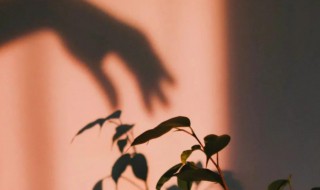 简单又独特的个性签名（简单又独特的个性签名男生）