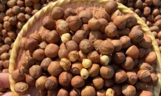 怎样炒榛子 怎样炒榛子仁