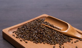 决明子种子怎么种(决明子种子有什么用途)