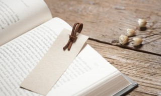 参伍错综是什么意思（参伍错综是什么生肖）