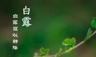 白露勿露身的含义 白露勿露身什么意思