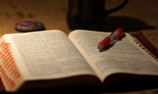 优雅洋气的女孩名字 优雅洋气的女孩名字三个字