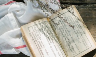 广寒仙子是什么意思 广寒仙子指的是谁