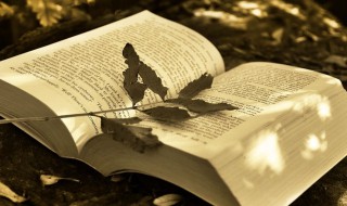 二话不说的意思解释 二话不说的意思解释和造句