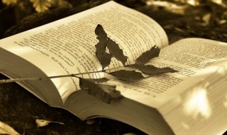 2021网名大全男霸气有内涵（2021霸气网名男生）