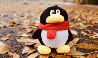 小奶狗的QQ昵称（小奶狗的qq昵称大全）