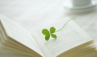 春风化雨是什么意思 春风化雨是什么意思解释词语