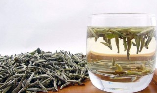 泡白茶的正确方法（白茶泡茶的正确方法）