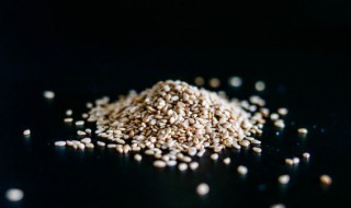 白芝麻的营养价值 白芝麻的营养价值是什么