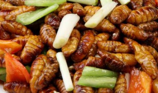 蚕蛹的吃法 蚕蛹的做法和吃法和营养价值