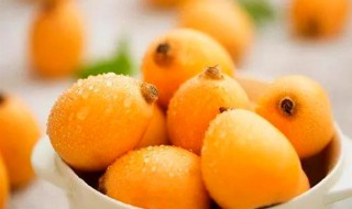 枇杷减肥（枇杷减肥的人可以吃吗）