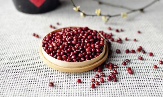 红豆怎么种植方法（红豆怎么种植方法种在杯子里）