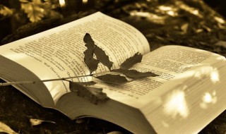 2021吃鸡网名男霸气(2021年个性吃鸡名)