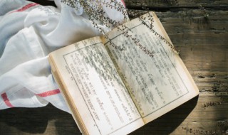 读书百遍其义自见的意思解释 读书百遍其义自见的理解意思