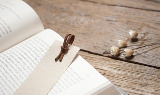 败事有余成事不足的意思解释（败事有余成事不足的意思解释）