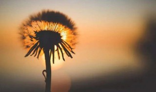 快手句子8字 八个字快手优美句子