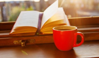 觇矕是什么意思 觇视的意思