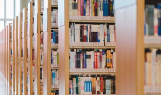 鳙鱼怎么读(鳙鱼怎么读音是什么)