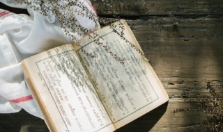 尊王攘夷怎么读（尊王攘夷什么意思）